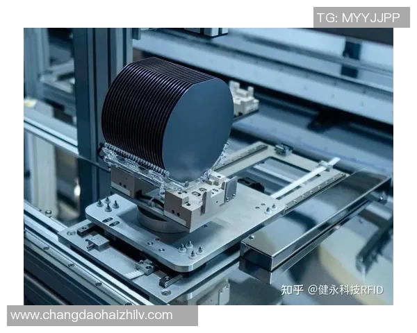 武汉网球队在世界锦标赛中的强势表现与未来展望分析