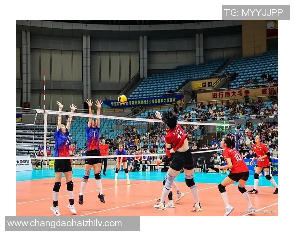 深圳排球队进攻战术解析与深度剖析排球竞技的魅力与挑战