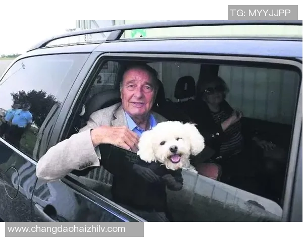 足球明星们的宠物生活揭秘：他们与爱犬爱猫的温馨瞬间与趣事分享