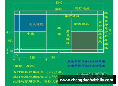 羽毛球球员世界排名及趋势分析